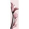 Posterazzi Calla Lily on Pink Poster Print by Albert Koetsier (8 x 24)